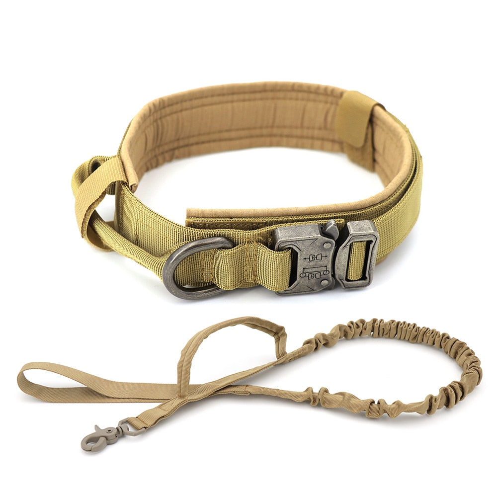 Adjustable Dog Collar – Durable & Comfortable in Black or Brown, Sizes M–XL