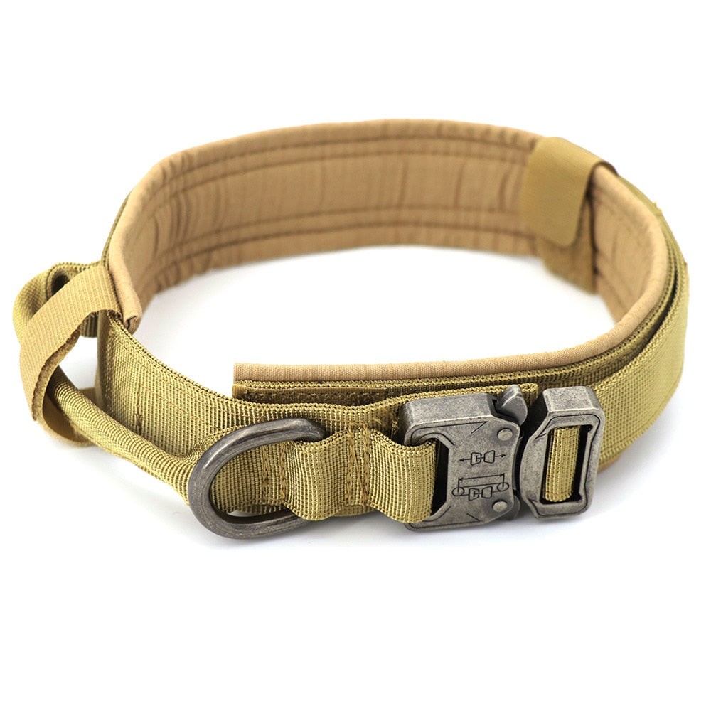 Adjustable Dog Collar – Durable & Comfortable in Black or Brown, Sizes M–XL