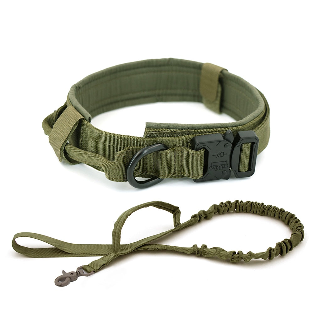 Adjustable Dog Collar – Durable & Comfortable in Black or Brown, Sizes M–XL