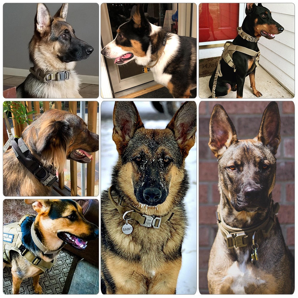 Adjustable Dog Collar – Durable & Comfortable in Black or Brown, Sizes M–XL