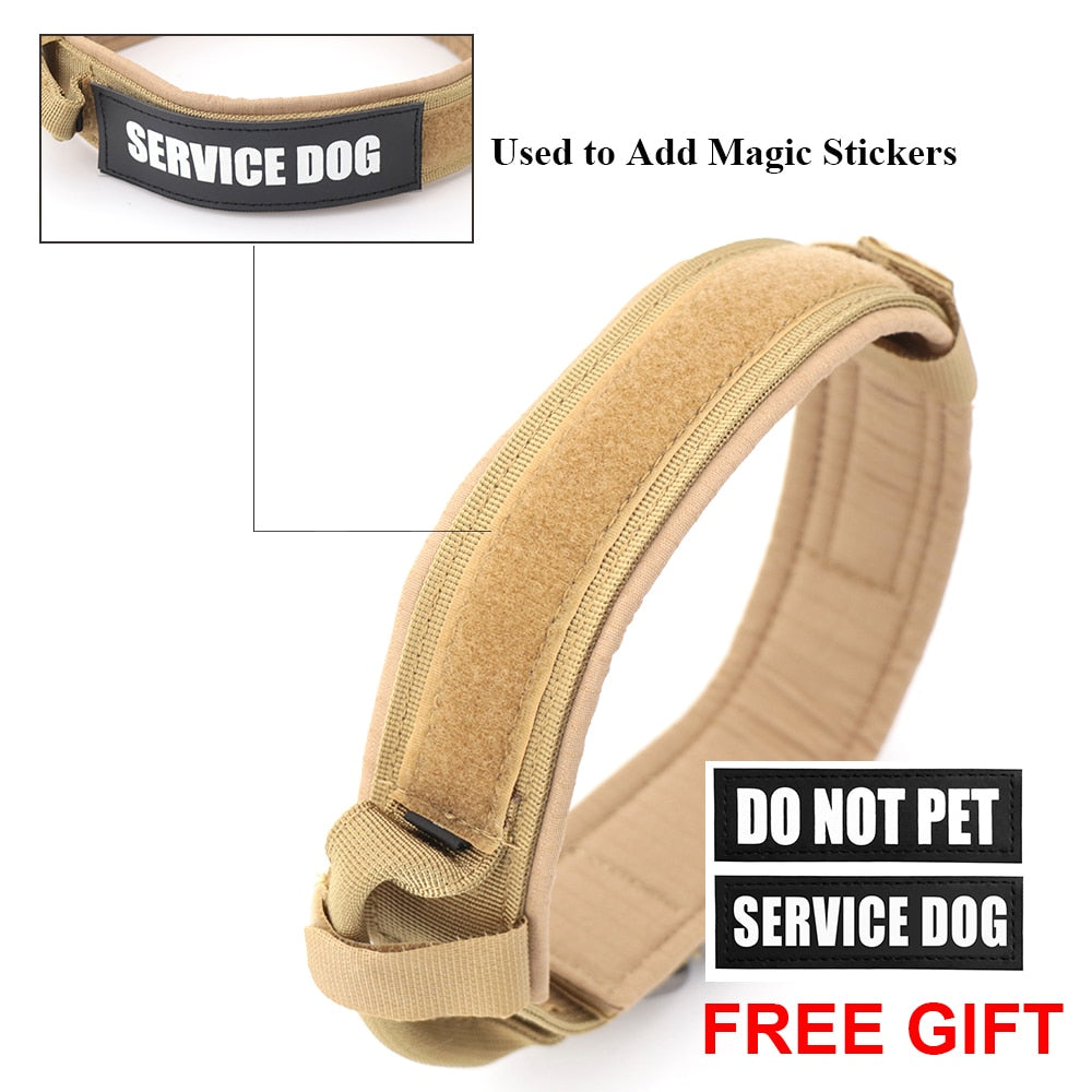 Adjustable Dog Collar – Durable & Comfortable in Black or Brown, Sizes M–XL