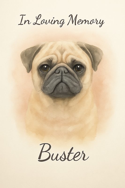 “Watercolor pet memorial portrait of a pug named Buster with ‘In Loving Memory’ text – digital download”

